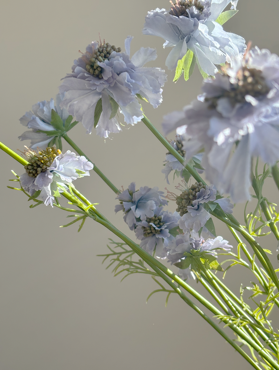Pastel Purple Scabiosa