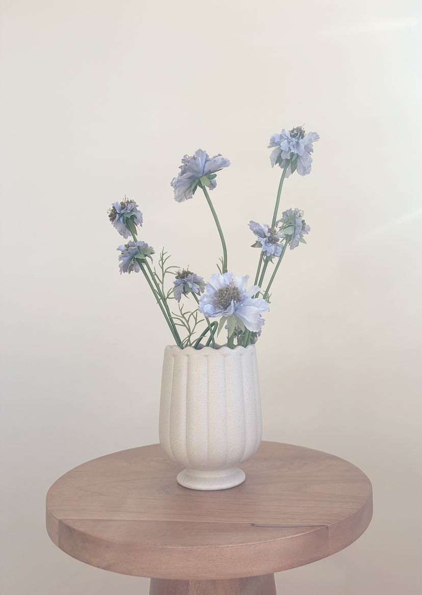 Pastel Purple Scabiosa
