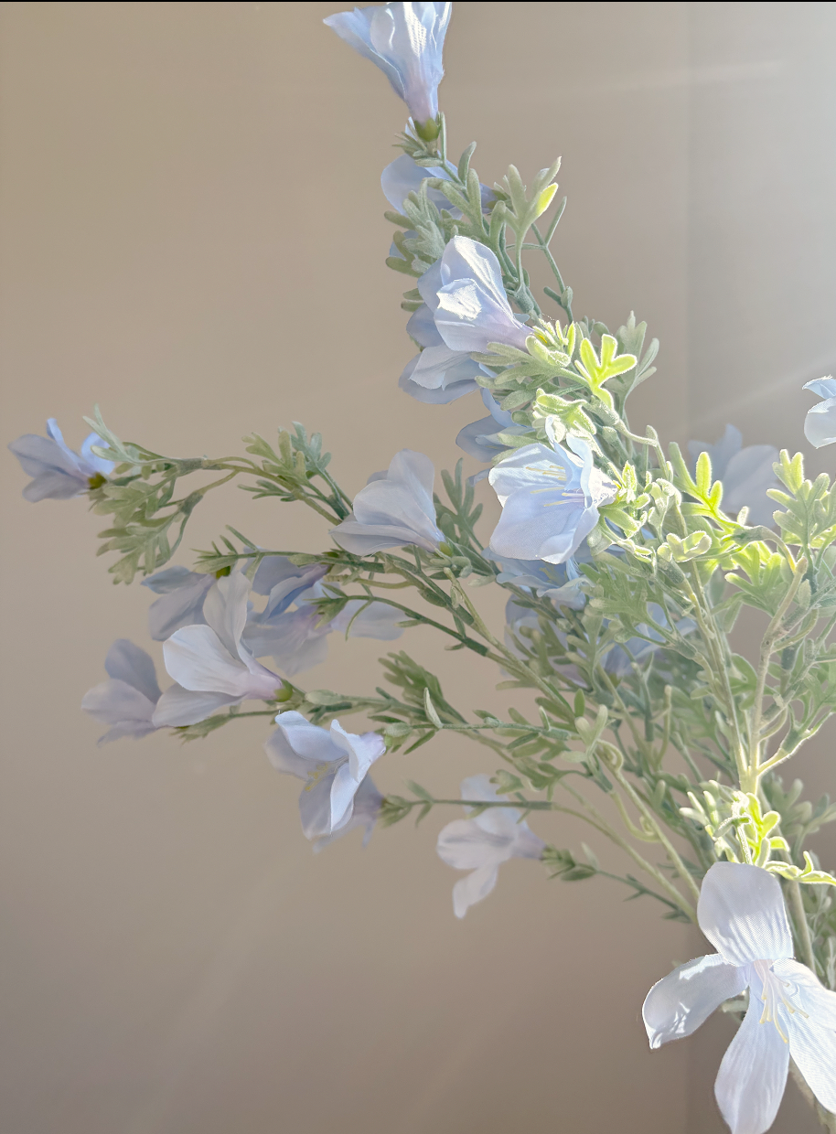 Dusty Blue Wildflower Delphinium