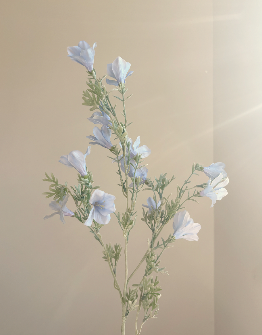 Dusty Blue Wildflower Delphinium