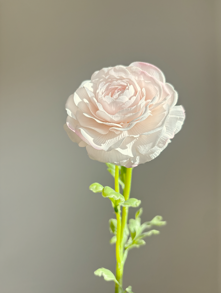 Real Touch Ranunculus Stem- Blush