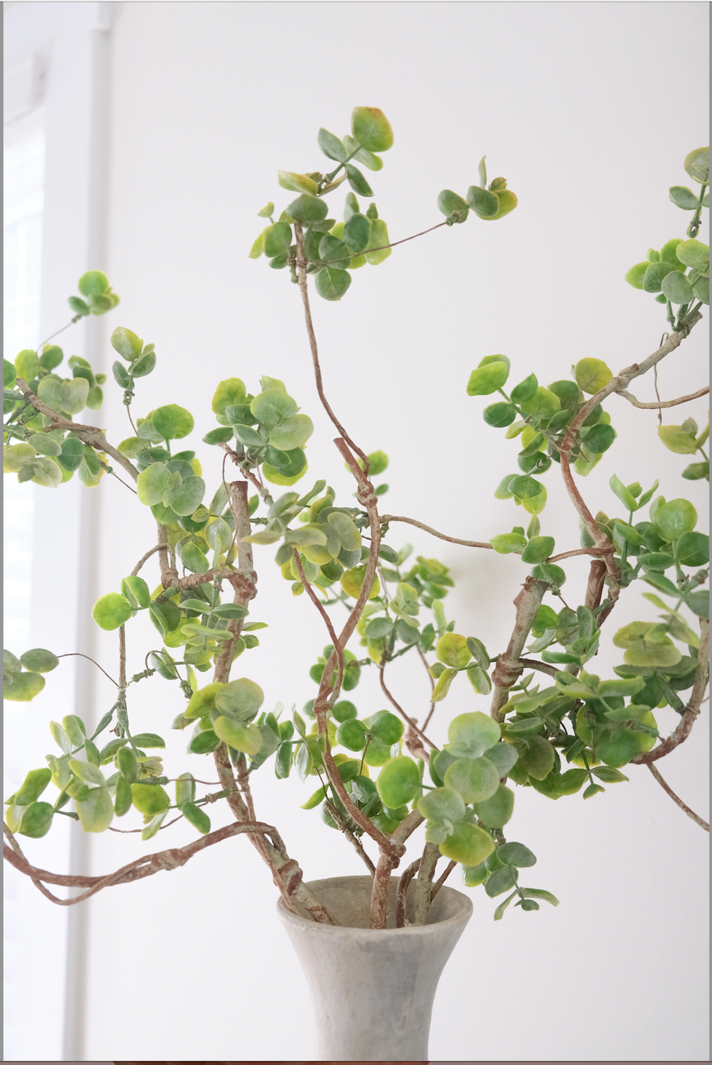 Real-Touch Eucalyptus Bundle x 3