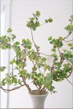 Real-Touch Eucalyptus Bundle x 3