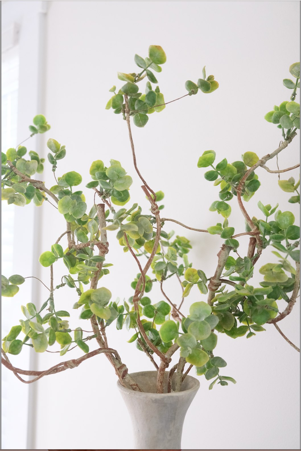 Real-Touch Eucalyptus Bundle x 3